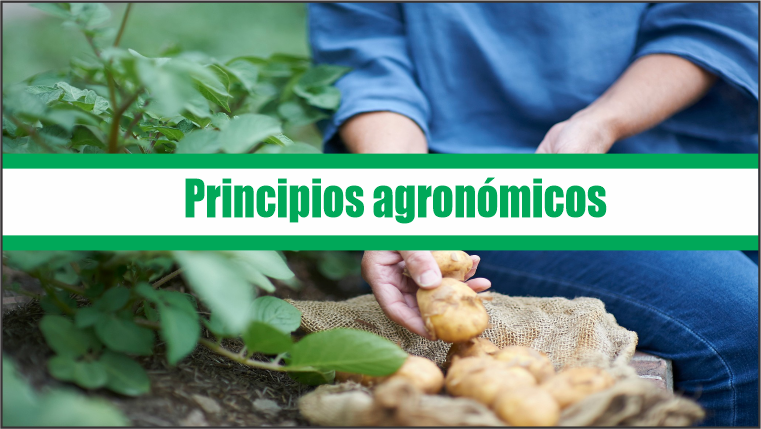 Principios agronómicos