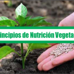 Principios de Nutrición Vegetal