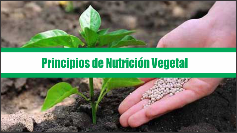 Principios de Nutrición Vegetal