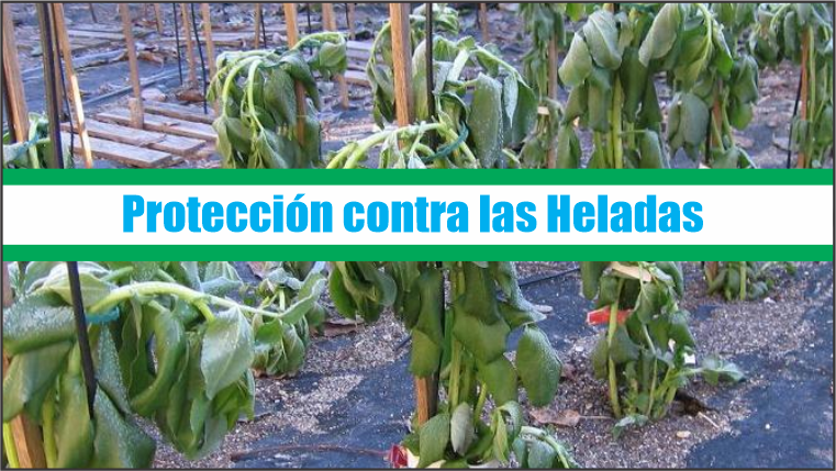 Protección contra las Heladas