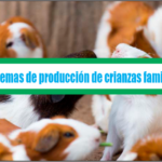 Proyecto sistemas de producción de crianzas familiares – Tomo I
