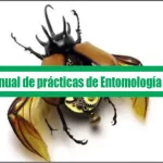 Manual de prácticas de Entomología