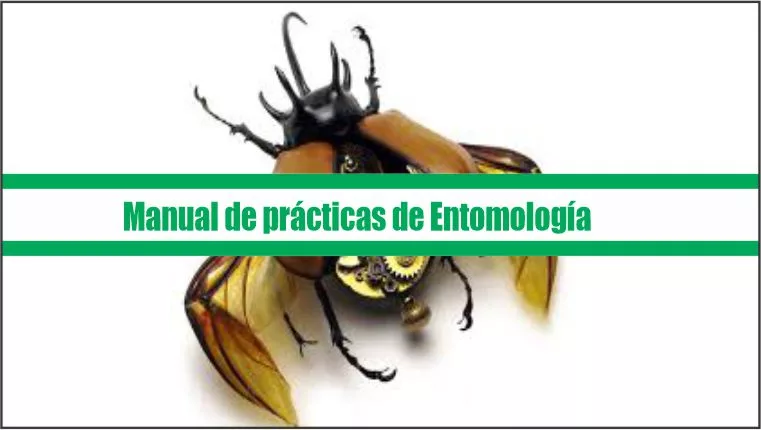 Manual de prácticas de Entomología