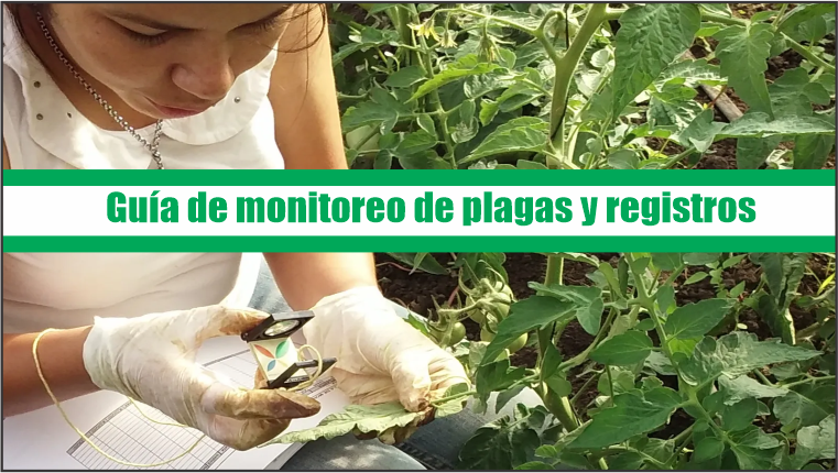 Guía de monitoreo de plagas y registros