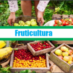 Fruticultura