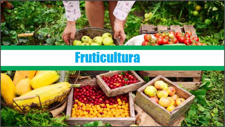 Fruticultura