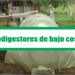 Biodigestores de bajo costo