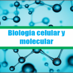 Biología celular y molecular