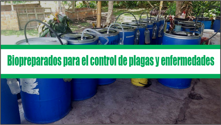 Biopreparados para el control de plagas y enfermedades en la agricultura urbana y periurbana