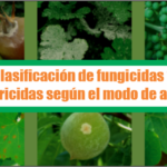 Clasificación de fungicidas y bactericidas según el modo de acción