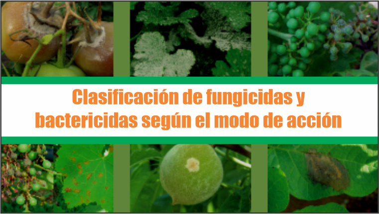 Clasificación de fungicidas y bactericidas según el modo de acción