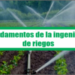 Fundamentos de la ingeniería de riegos