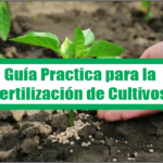 Guía Practica para la Fertilización de Cultivos