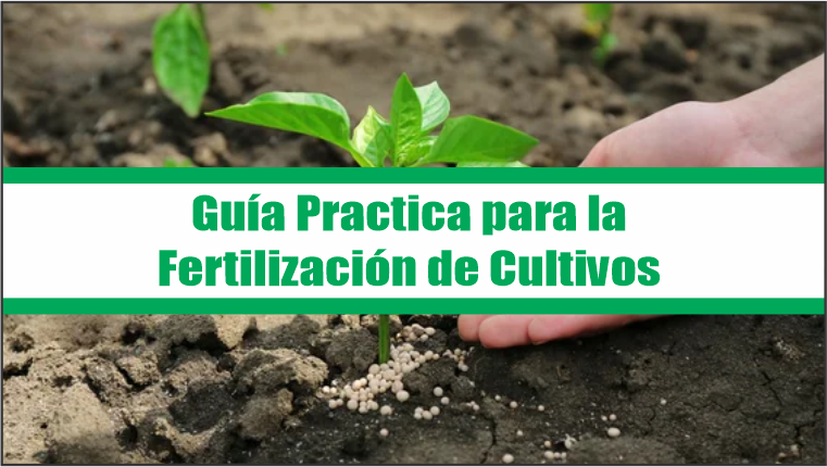 Guía Practica para la Fertilización de Cultivos