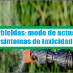 Herbicidas: modo de actuar y sintomas de toxicidad