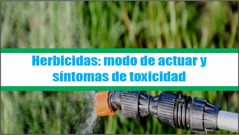 Herbicidas: modo de actuar y sintomas de toxicidad
