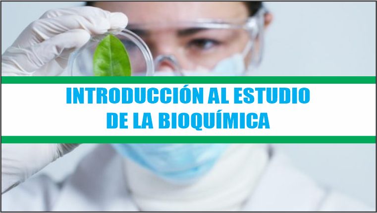 Introducción al Estudio de la bioquímica