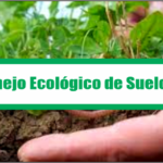 Manejo Ecológico de Suelos
