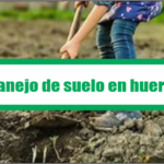 Manejo de suelo en huertos