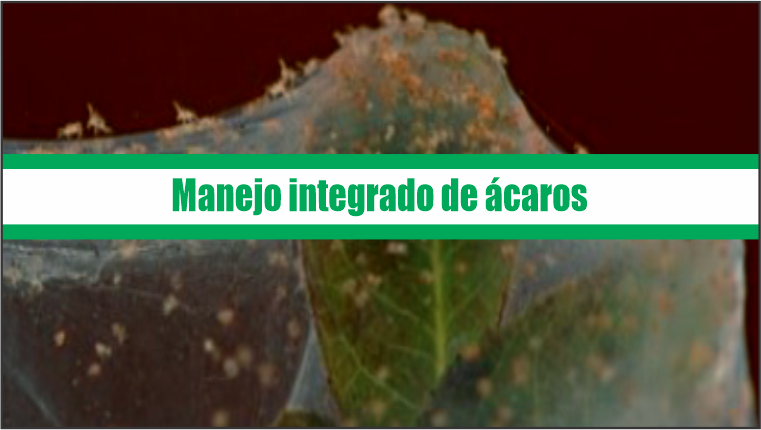 Manejo integrado de ácaros