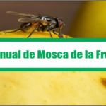 Manual de Mosca de la Fruta