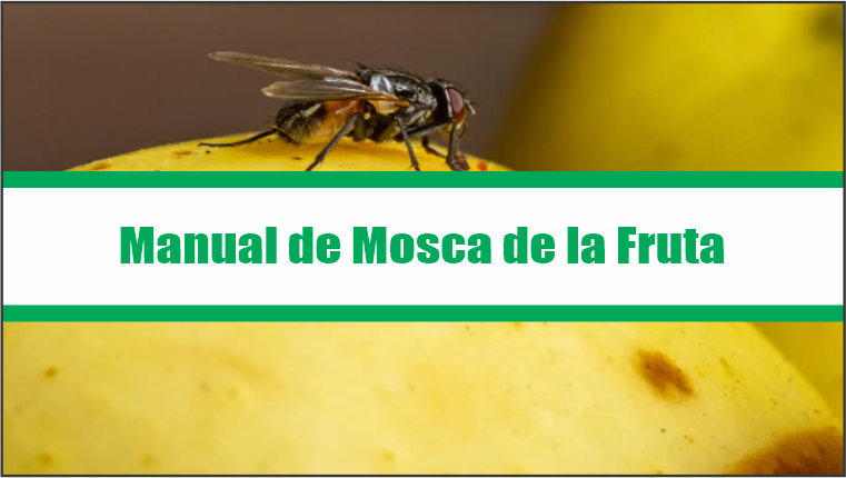 Manual de Mosca de la Fruta