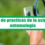 Manual de practicas de la asignatura entomología