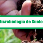 Microbiología de Suelos
