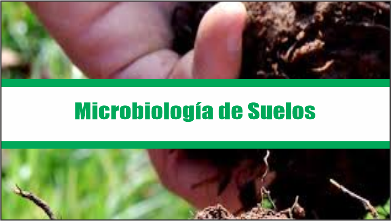 Microbiología de Suelos