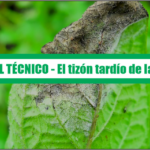 Manual técnico del Manejo del Tizon Tardio de la Papa