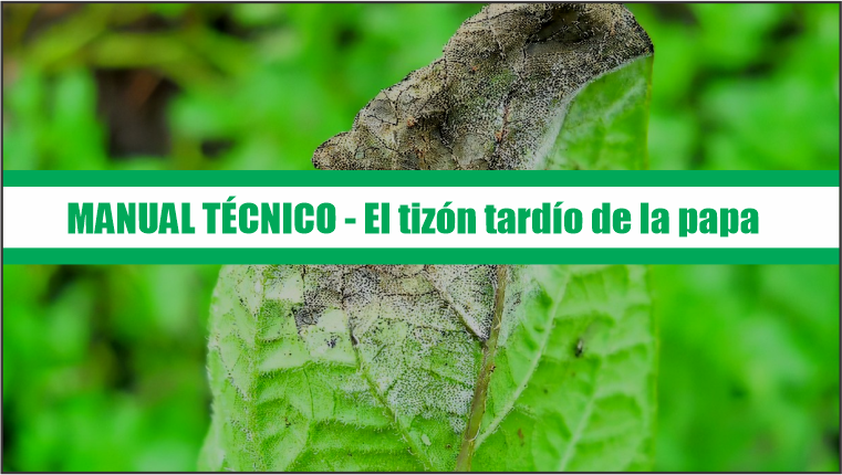 Manual técnico del Manejo del Tizon Tardio de la Papa