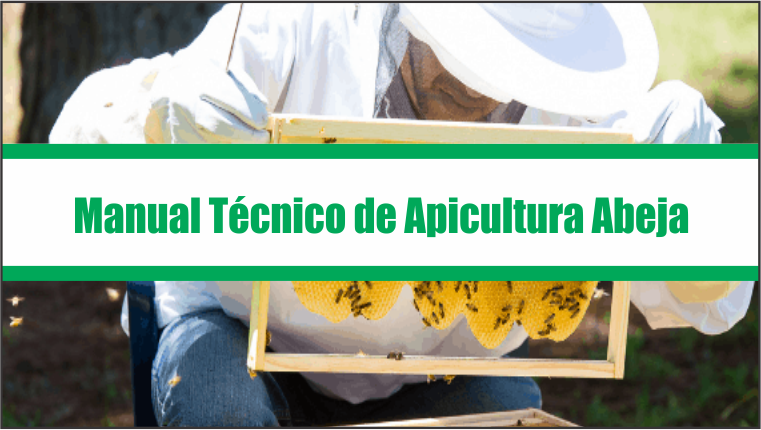 Manual Técnico de Apicultura Abeja