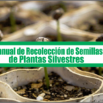 Manual de Recolección de Semillas de Plantas Silvestres