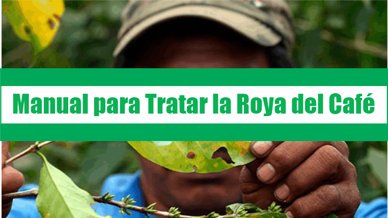 Manual para Tratar la Roya del Café