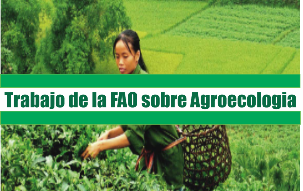 El Trabajo de la FAO sobre Agroecología