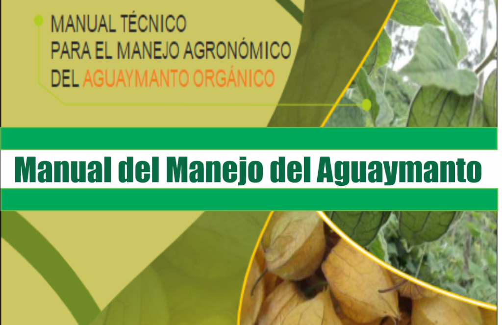 Manual Técnico para el Manejo Agronómico del Aguaymanto Orgánico