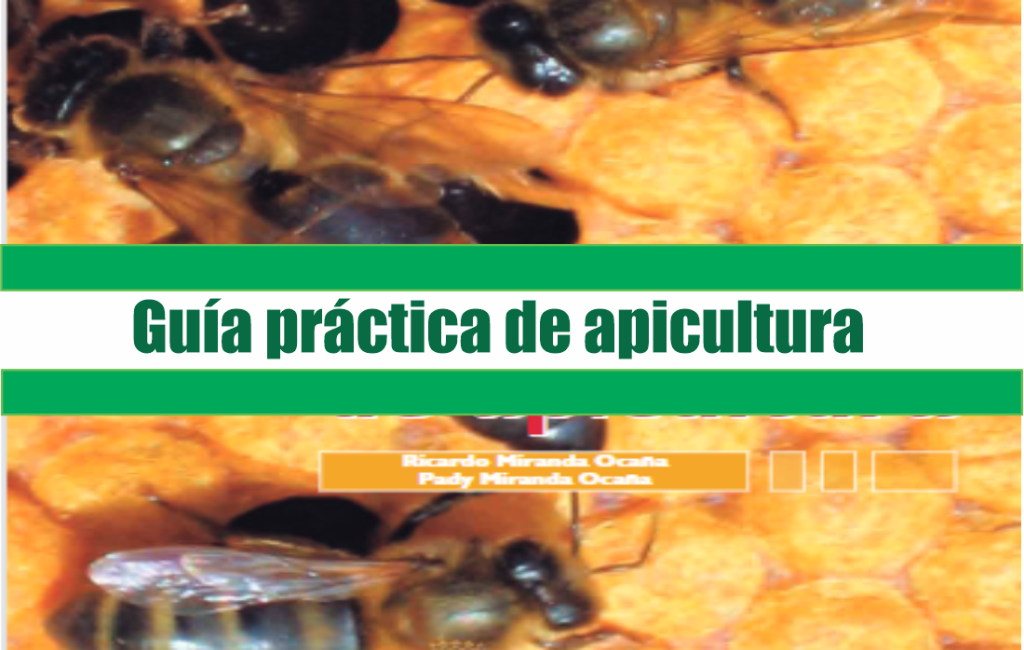 Guía prácticas de apicultura