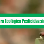 Agricultura Ecológica – Pesticidas sin Factura – Escarabajo Verde