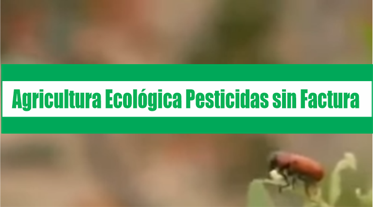 Agricultura Ecológica – Pesticidas sin Factura – Escarabajo Verde