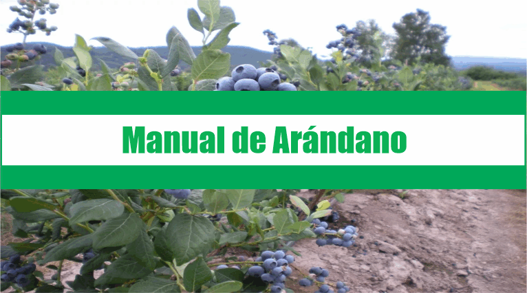 Manual de Arándano