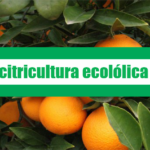 La citricultura ecolólica