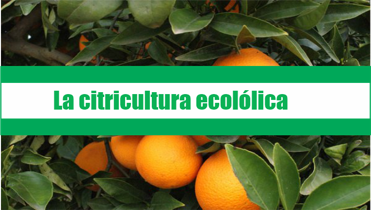 La citricultura ecolólica
