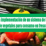 Guía para la implementación de un sistema de trazabilidad de vegetales para consumo en fresco