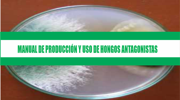 MANUAL DE PRODUCCIÓN Y USO DE HONGOS ANTAGONISTAS