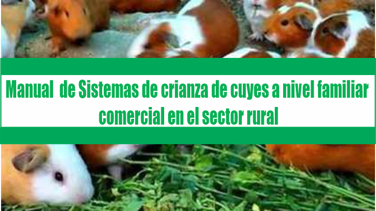 Manual – Sistemas de crianza de cuyes a nivel familiar – comercial en el sector rural
