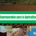 Manual de Biopreparados para la Agricultura Ecológica