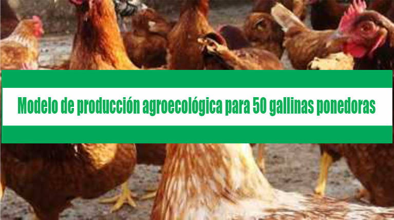 Modelo de producción agroecológica para 50 gallinas ponedoras (PDF)
