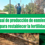 Manual de producción de enmiendas orgánicas para restablecer la fertilidad del suelo