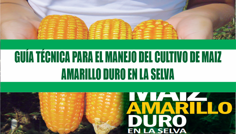 GUÍA TÉCNICA PARA EL MANEJO DEL CULTIVO DE MAIZAMARILLO DURO EN LA SELVA