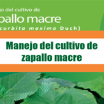 Manejo del cultivo dezapallo macre